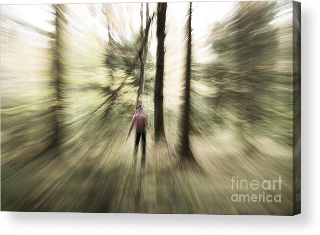 Pines Acrylic Print featuring the photograph The Pines by Jim Cook
