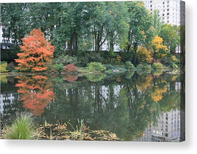 Central Park Acrylic Print featuring the photograph The Pond in Central Park in Fall by Christopher J Kirby