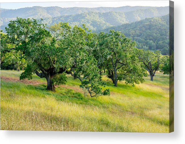 San Carlos Ranch Acrylic Print featuring the photograph The Preserve by Derek Dean