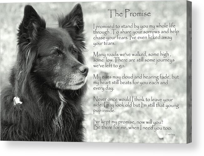 Quotes Acrylic Print featuring the photograph The Promise by Sue Long
