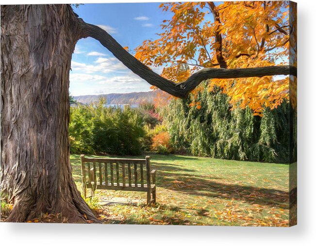 Bench Acrylic Print featuring the photograph The Reading Bench by Zev Steinhardt