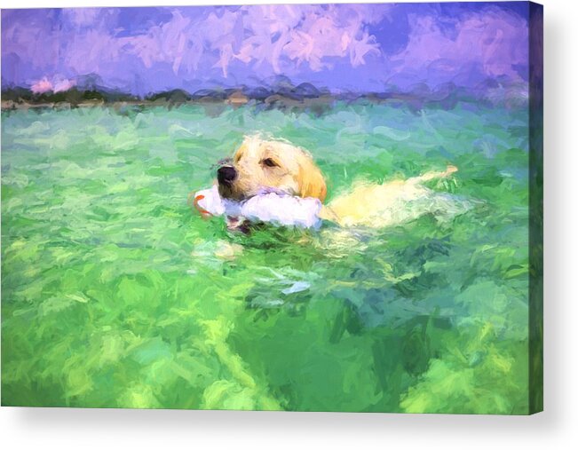 Loving The Emerald Coast Acrylic Print featuring the photograph The Retriever by JC Findley