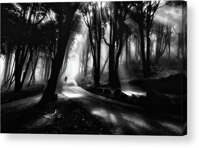 Sintra Acrylic Print featuring the photograph The rider by Jorge Maia
