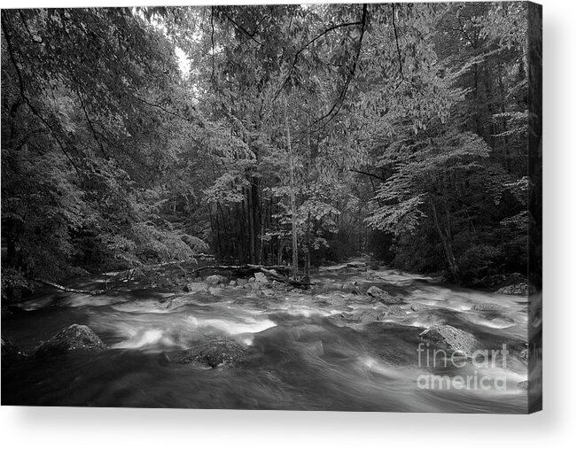 River Acrylic Print featuring the photograph The River Forges On by Mike Eingle