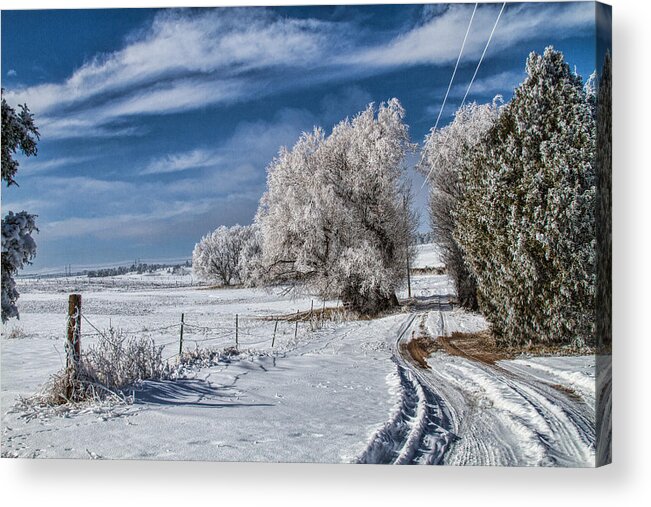Winter Acrylic Print featuring the photograph The Road Home by Alana Thrower