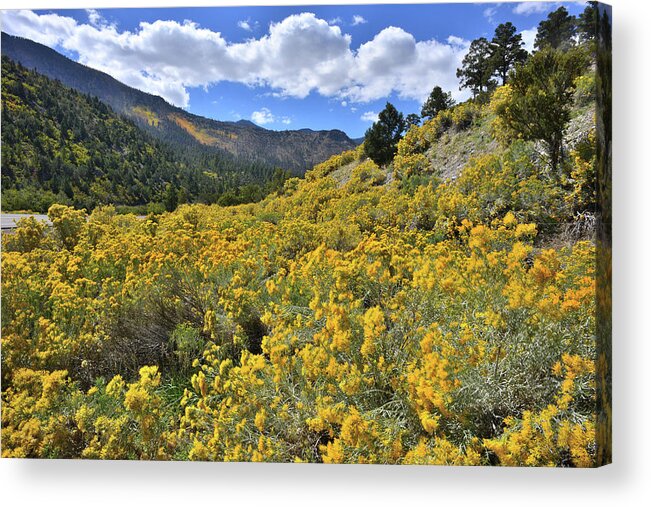 Nevada Acrylic Print featuring the photograph The Road to Mt. Charleston by Ray Mathis