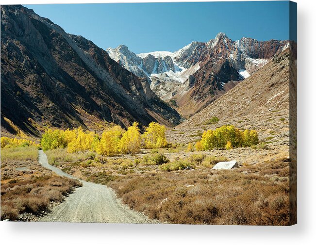 Fall Acrylic Print featuring the photograph The Road up the Canyon by Steve Ellison