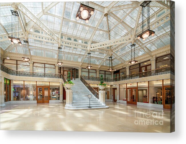 Art Acrylic Print featuring the photograph The Rookery by David Levin