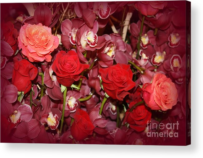 Rose Acrylic Print featuring the photograph The Roses and Orchids of Early Spring by Dora Sofia Caputo