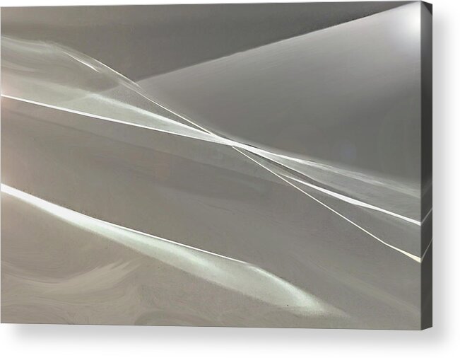 Abstract Acrylic Print featuring the digital art A Rush of Wings by Gina Harrison