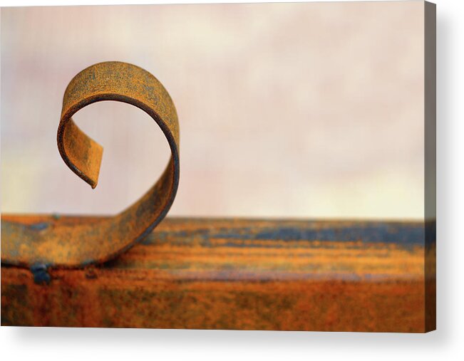 Minimal Acrylic Print featuring the photograph The Rusted Curl Colored Version by Prakash Ghai