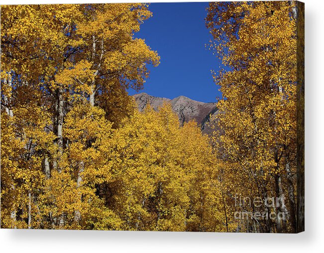 Autumn Landscape Acrylic Print featuring the photograph The Shroud of Autumn by Jim Garrison