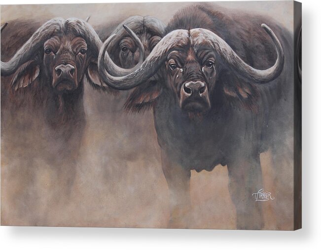 African Buffalo Acrylic Print featuring the painting The Stand by Tammy Taylor