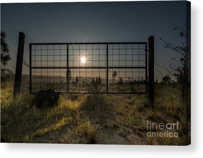 Sun Acrylic Print featuring the photograph The Sun is Free by Metaphor Photo