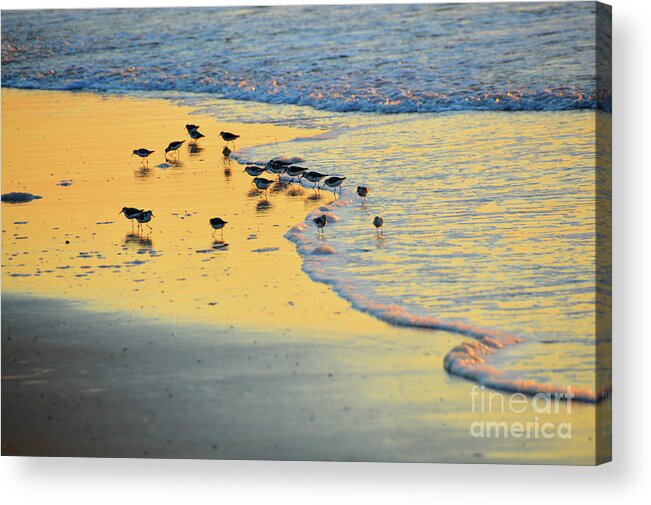 Sunrise Acrylic Print featuring the photograph The Sun Is Shining And So Are You by Robyn King