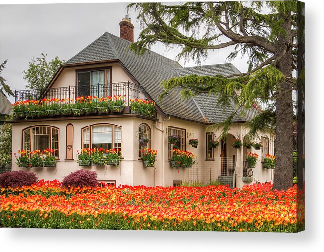 Flower Acrylic Print featuring the photograph The Tulip House by Kristina Rinell