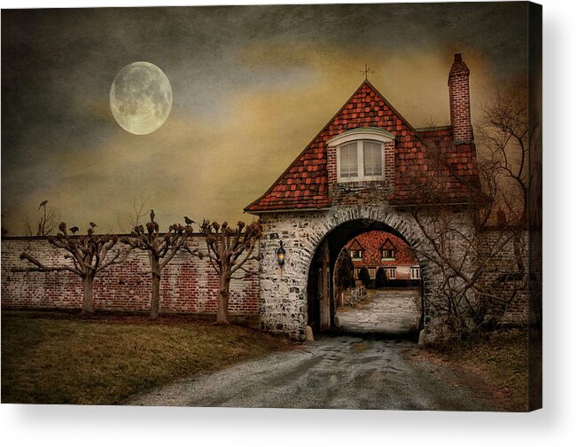 Haunting Acrylic Print featuring the photograph The Watcher by Robin-Lee Vieira