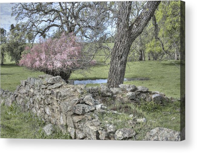  Acrylic Print featuring the photograph There Once was a House by Wendy Carrington
