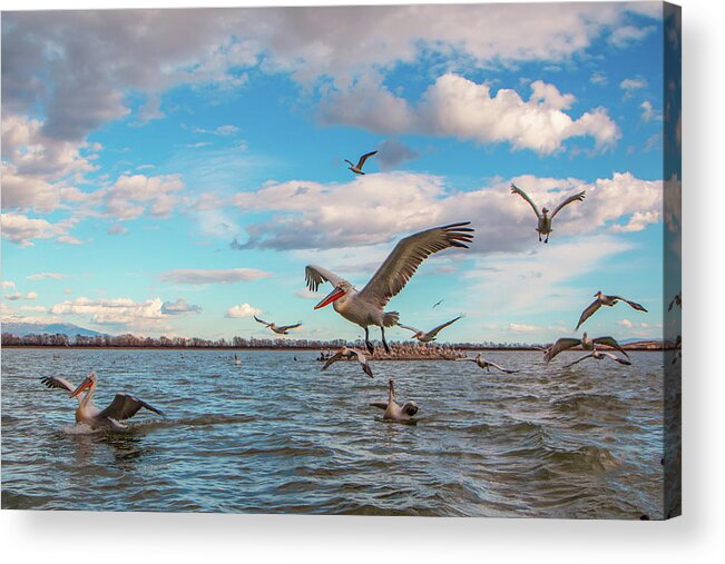 Animal Acrylic Print featuring the photograph They are coming.... by Jivko Nakev