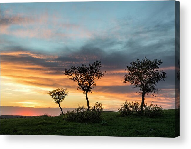 Sunset Acrylic Print featuring the photograph Three Trees On A Hill by Denise Bush