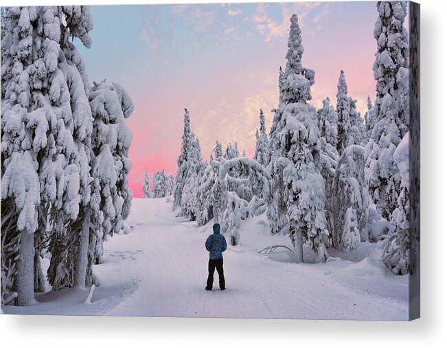 Sky Acrylic Print featuring the photograph Through a Snow Covered Forest by Roberta Kayne