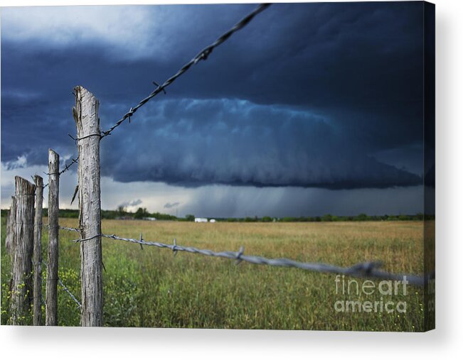 Fence Acrylic Print featuring the photograph Through The Wires by Ryan Smith