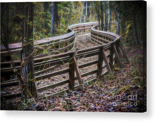 Pathway Acrylic Print featuring the photograph Through The Woods by Ken Johnson