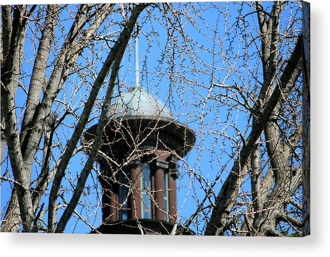 Capital Acrylic Print featuring the photograph Thru The Trees by Cathy Harper
