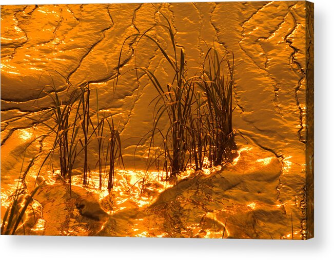 Abstract Acrylic Print featuring the photograph Tidal Mud Sundown by Irwin Barrett