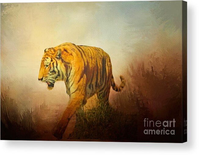 Tiger Acrylic Print featuring the photograph Tiger on the Prowl by Janette Boyd