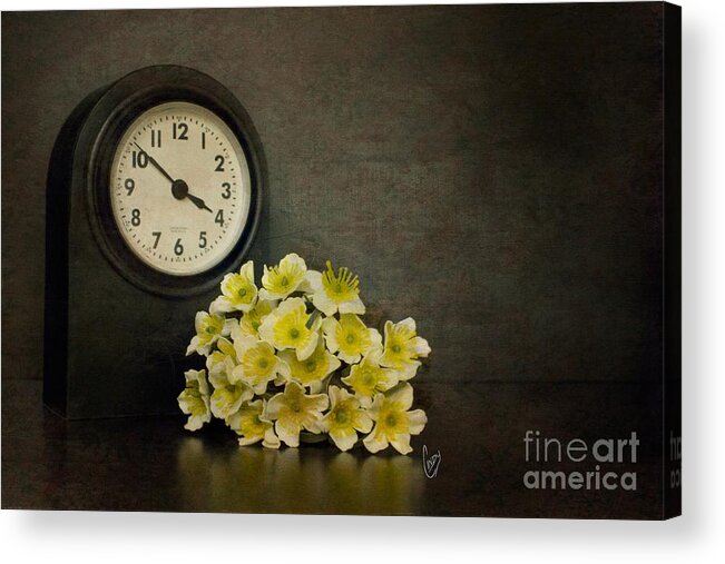 Time Acrylic Print featuring the photograph Time by Cindy Garber Iverson
