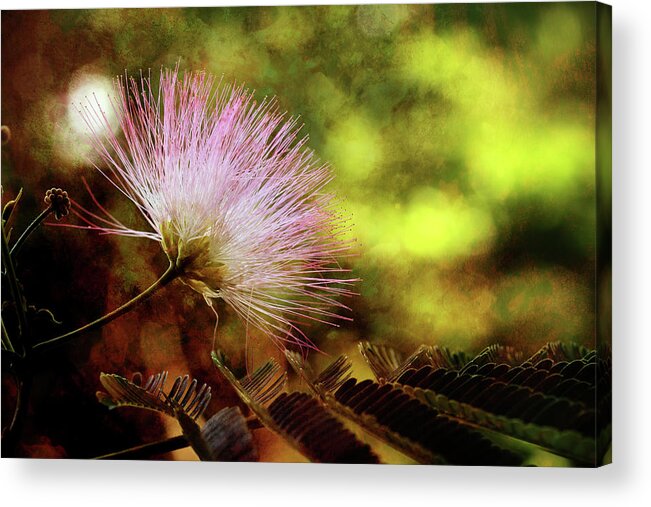 Mimosa Acrylic Print featuring the photograph Time Reaches Forever by Mike Eingle