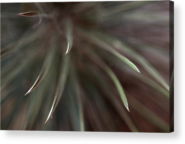 Edge Acrylic Print featuring the photograph Tips #2 by Jerry Griffin
