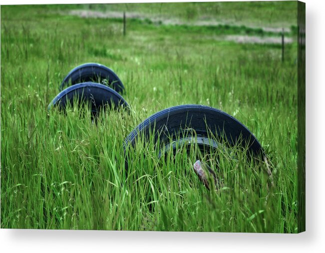 Tires Acrylic Print featuring the photograph Tires - Grassy Field by Nikolyn McDonald