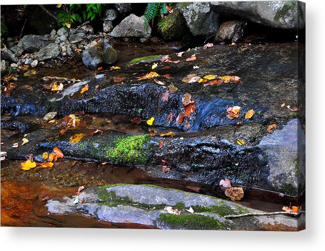 Water Acrylic Print featuring the photograph Touch of Fall by Todd Hostetter