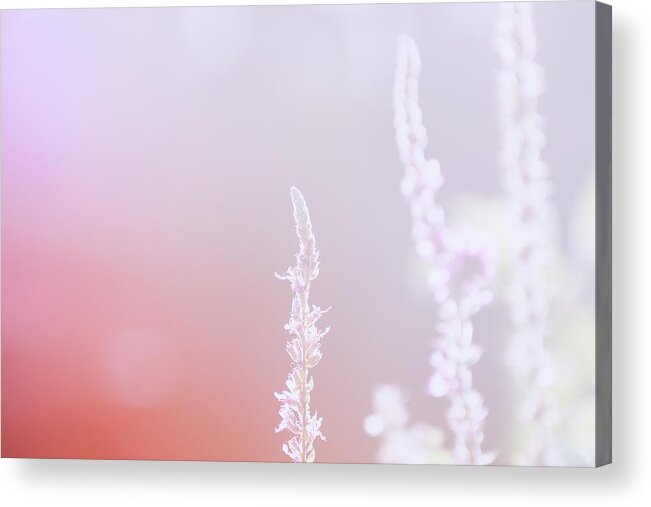 Light Acrylic Print featuring the photograph Touch of Light by Jaroslav Buna