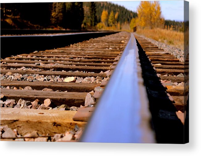 Rail Acrylic Print featuring the photograph On The Right Track To Nature by Fiona Kennard