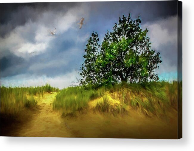 Art Acrylic Print featuring the photograph Trail through the dunes painterly version by Randall Nyhof