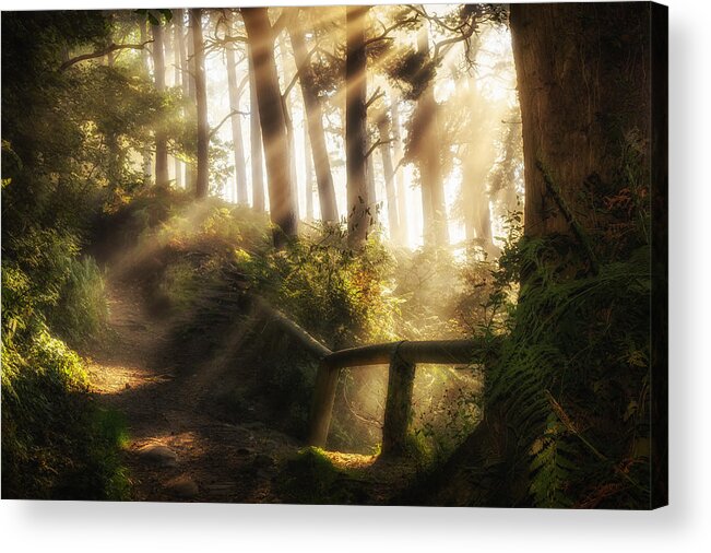 Autumn Acrylic Print featuring the photograph Tranquility by Peter Acs