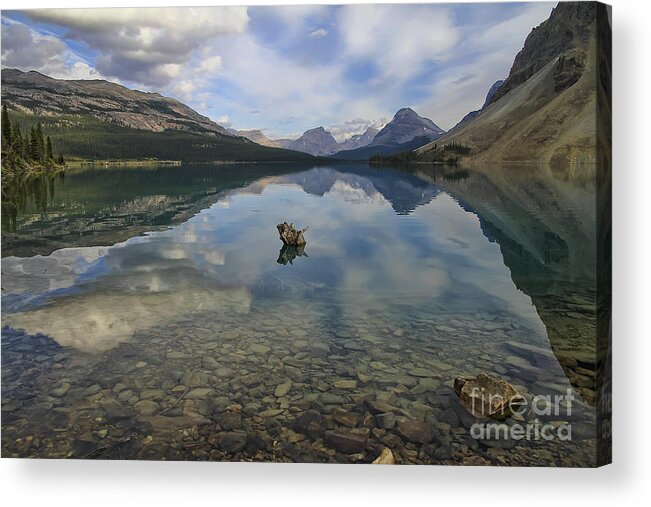 Lake Acrylic Print featuring the photograph Tranquility by Teresa Zieba