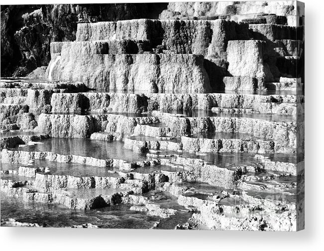 Yellowstone Acrylic Print featuring the photograph Travertine Hot Spring Terraces Mammoth Hot Springs Yellowstone NP Wyoming Black and White by Shawn O'Brien