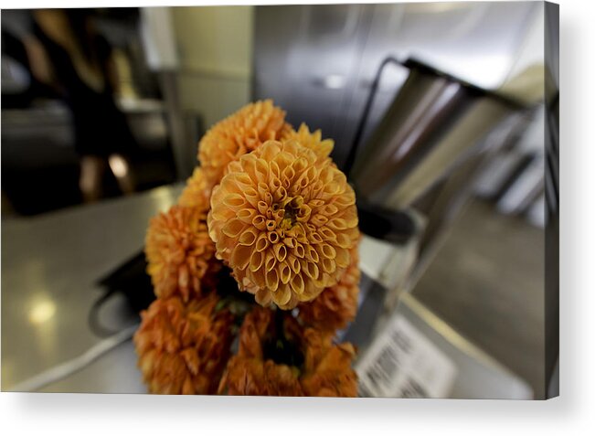Flower Acrylic Print featuring the photograph Treats at the ice cream parlor by Lora Lee Chapman