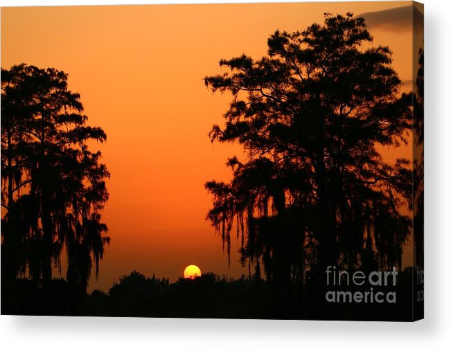 Tree Acrylic Print featuring the photograph Tree Flanked Sunset by Tom Claud