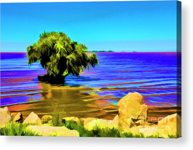 Argentine Colonia Rivers Acrylic Print featuring the digital art Tree in Water by Rick Bragan