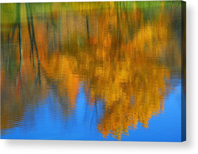 Fall Color Acrylic Print featuring the photograph Tree Reflection 'Painting' by Alan Lenk