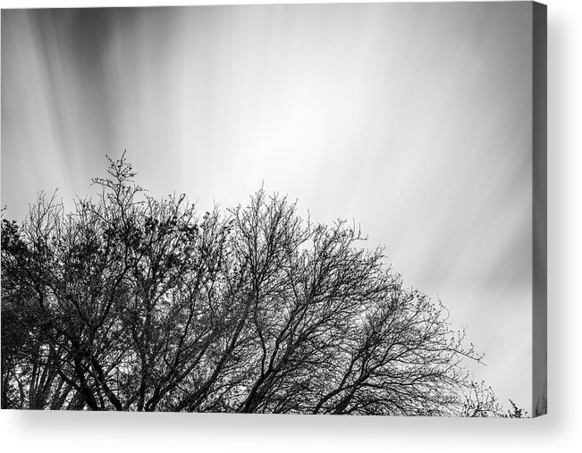 Long Exposure Acrylic Print featuring the photograph Tree top with Moving Clouds by Todd Aaron