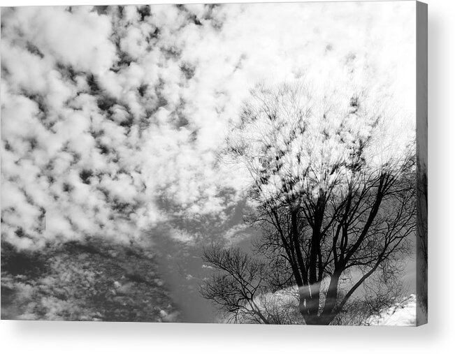 Clouds Acrylic Print featuring the photograph Tree's Spirit by Munir Alawi