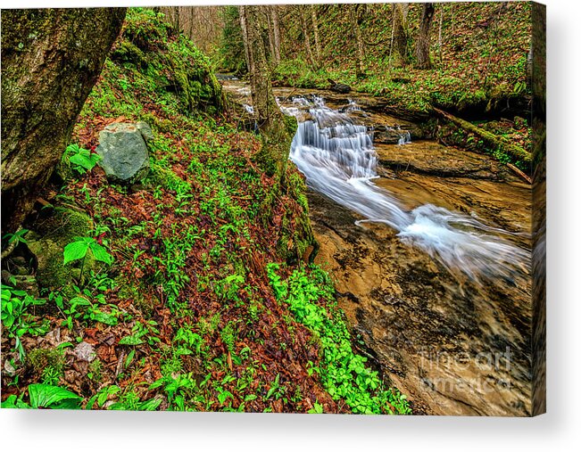 Anthony Creek Acrylic Print featuring the photograph Trillium Waterfall Anthony Creek by Thomas R Fletcher