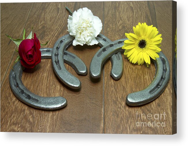 Triple Crown Acrylic Print featuring the photograph Triple Crown Flowers on Horseshoes by Karen Foley