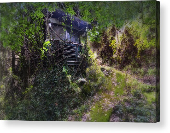 Filobus Acrylic Print featuring the photograph Trolley Bus Into The Jungle by Enrico Pelos